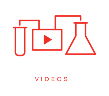 labs1 labs1